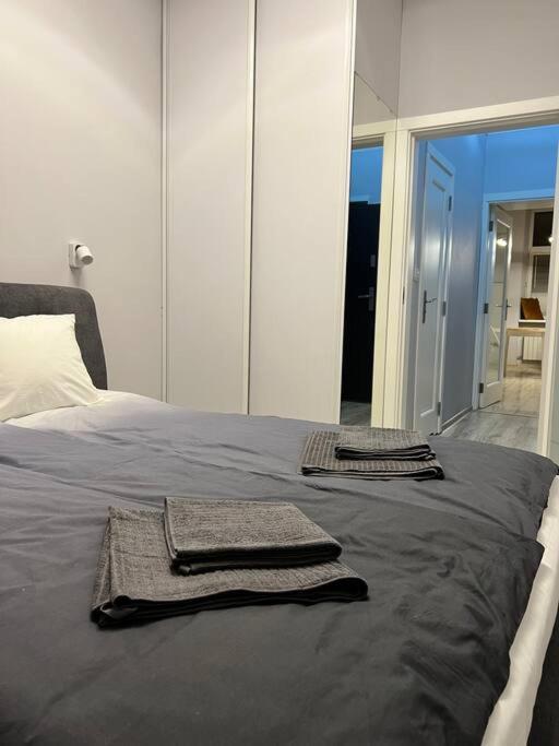 V&O Apartament In The Centre Of คราคูฟ ภายนอก รูปภาพ